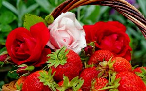 Preview wallpaper berries, strawberries, roses, flowers, buds