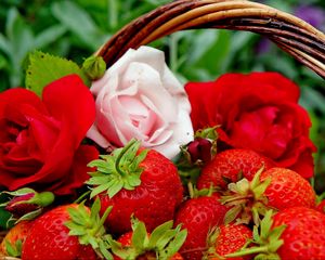 Preview wallpaper berries, strawberries, roses, flowers, buds