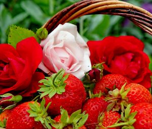 Preview wallpaper berries, strawberries, roses, flowers, buds