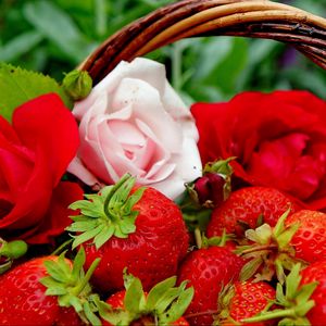 Preview wallpaper berries, strawberries, roses, flowers, buds