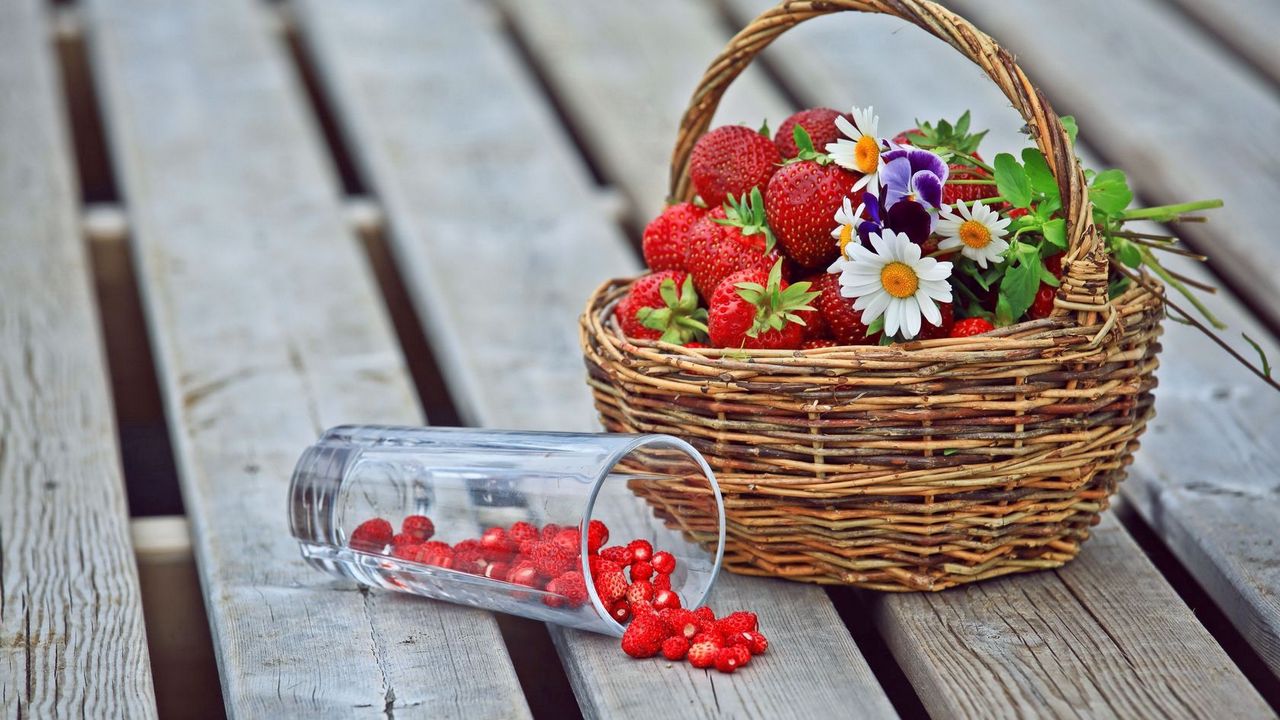 Wallpaper berries, strawberries, strawberry, basket, flowers, daisies, pansies, glass
