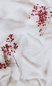 Preview wallpaper berry, branch, cloth, white