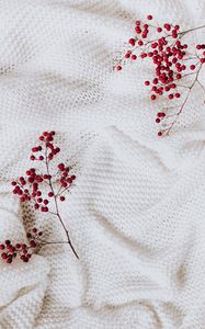 Preview wallpaper berry, branch, cloth, white