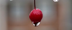 Preview wallpaper berry, drop, macro, blur