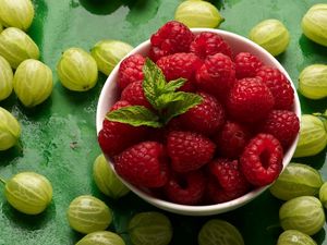 Preview wallpaper berry, raspberry, gooseberry, leaves