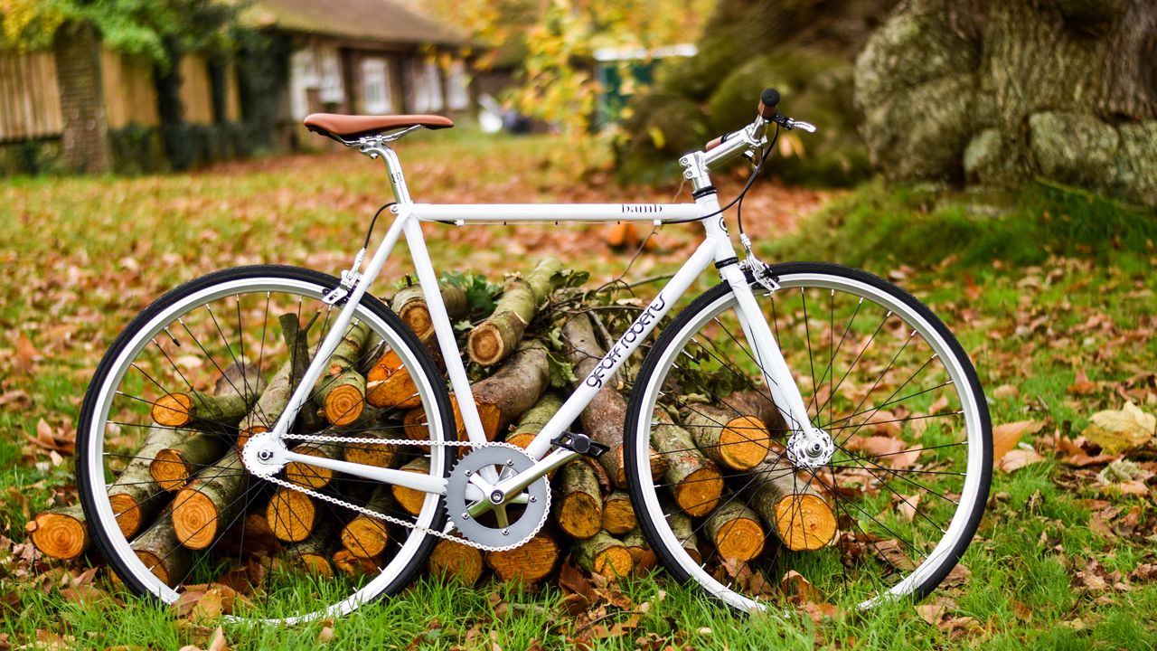 Wallpaper bicycle, autumn, foliage