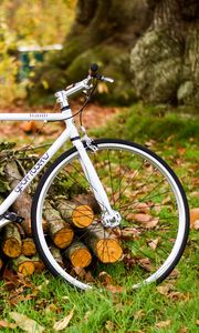 Preview wallpaper bicycle, autumn, foliage