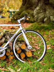 Preview wallpaper bicycle, autumn, foliage