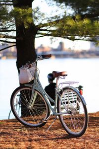 Preview wallpaper bicycle, autumn, trees, foliage, river