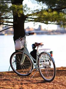 Preview wallpaper bicycle, autumn, trees, foliage, river