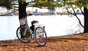 Preview wallpaper bicycle, autumn, trees, foliage, river