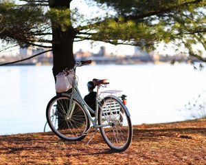 Preview wallpaper bicycle, autumn, trees, foliage, river