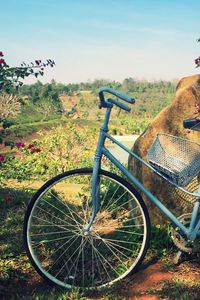 Preview wallpaper bicycle, basket, flowers