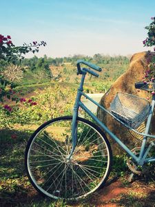 Preview wallpaper bicycle, basket, flowers