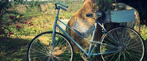 Preview wallpaper bicycle, basket, flowers