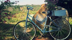 Preview wallpaper bicycle, basket, flowers