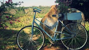 Preview wallpaper bicycle, basket, flowers