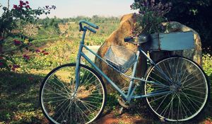 Preview wallpaper bicycle, basket, flowers