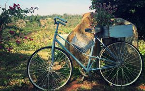 Preview wallpaper bicycle, basket, flowers