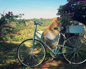 Preview wallpaper bicycle, basket, flowers