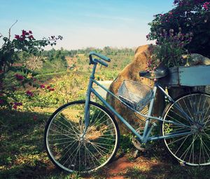 Preview wallpaper bicycle, basket, flowers