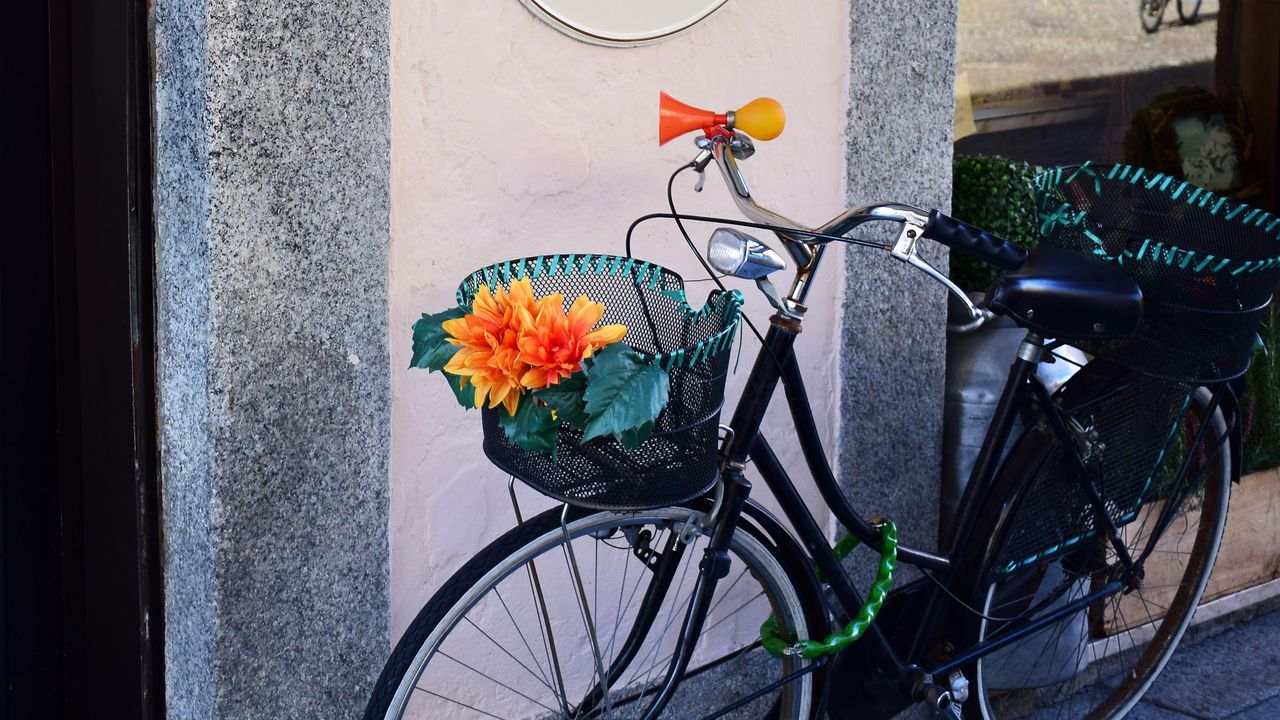 Wallpaper bicycle, basket, flowers