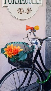 Preview wallpaper bicycle, basket, flowers