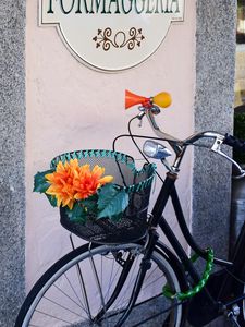 Preview wallpaper bicycle, basket, flowers