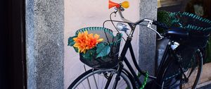 Preview wallpaper bicycle, basket, flowers