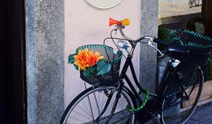 Preview wallpaper bicycle, basket, flowers