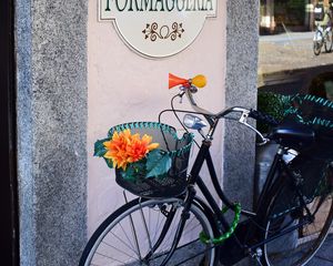 Preview wallpaper bicycle, basket, flowers