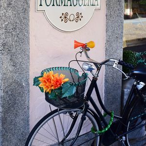 Preview wallpaper bicycle, basket, flowers