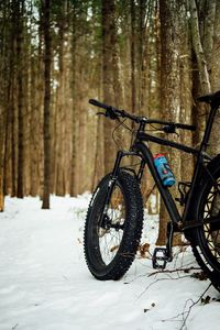 Preview wallpaper bicycle, bike, fat bike, mtb, black