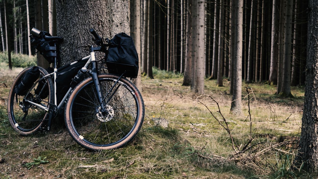 Wallpaper bicycle, bike, forest, tree, travel