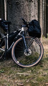 Preview wallpaper bicycle, bike, forest, tree, travel