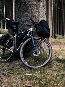 Preview wallpaper bicycle, bike, forest, tree, travel