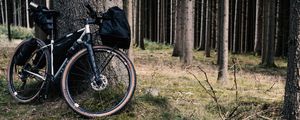 Preview wallpaper bicycle, bike, forest, tree, travel
