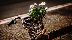 Preview wallpaper bicycle, bouquet, basket, rust