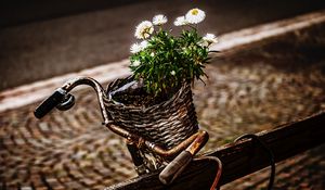 Preview wallpaper bicycle, bouquet, basket, rust