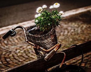 Preview wallpaper bicycle, bouquet, basket, rust