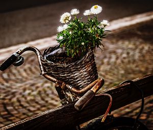 Preview wallpaper bicycle, bouquet, basket, rust