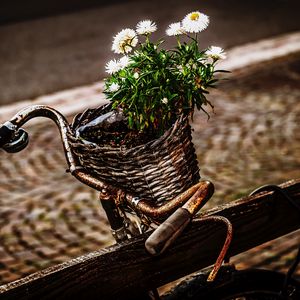 Preview wallpaper bicycle, bouquet, basket, rust