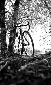 Preview wallpaper bicycle, branches, black and white