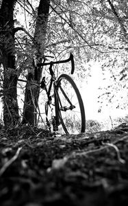 Preview wallpaper bicycle, branches, black and white