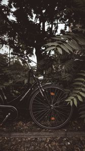 Preview wallpaper bicycle, branches, leaves, trees, dark