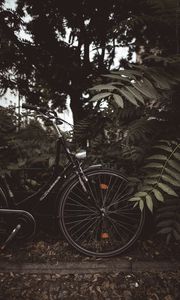 Preview wallpaper bicycle, branches, leaves, trees, dark