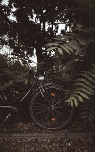 Preview wallpaper bicycle, branches, leaves, trees, dark