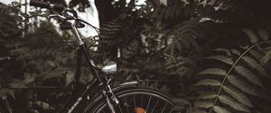 Preview wallpaper bicycle, branches, leaves, trees, dark