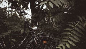 Preview wallpaper bicycle, branches, leaves, trees, dark