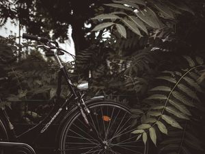 Preview wallpaper bicycle, branches, leaves, trees, dark